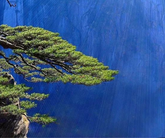 生活抠门省钱案例