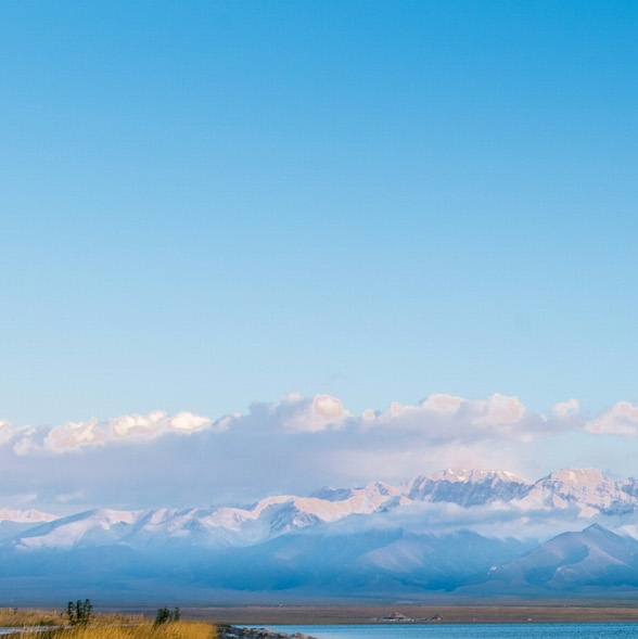 被生活逼到死角