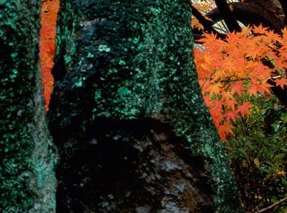 生活碎片真正的生活