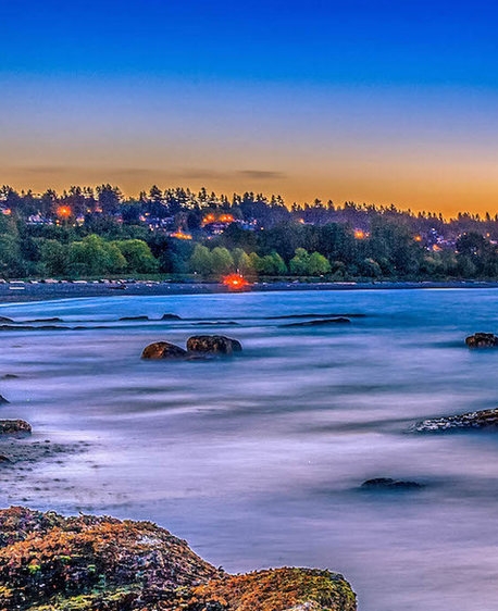 生活助理是什么意思