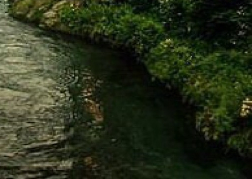 体育生可以考哪些警校