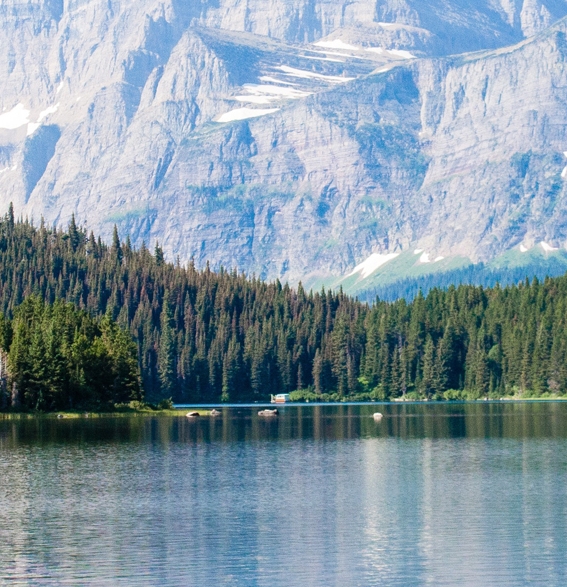 懂生活爱生活的句子