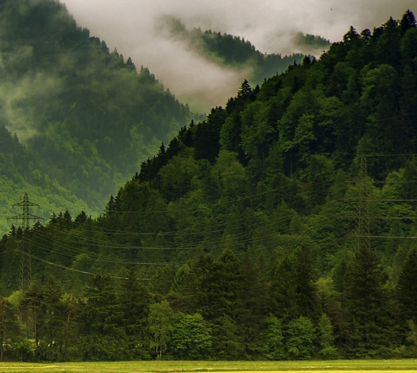 苹果耳机airpods pro