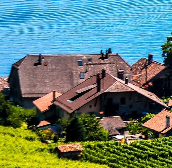 澳洲生活还是欧洲生活