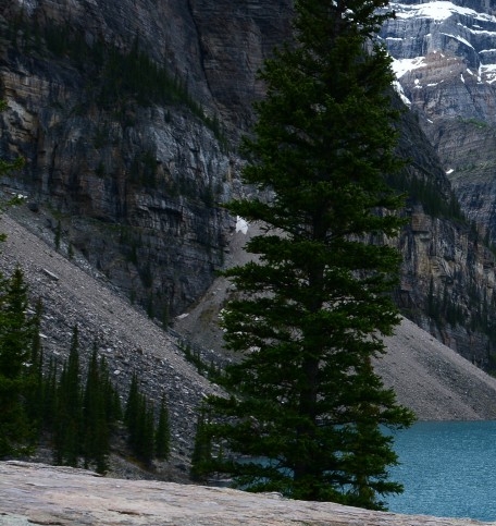 网页游戏生活类