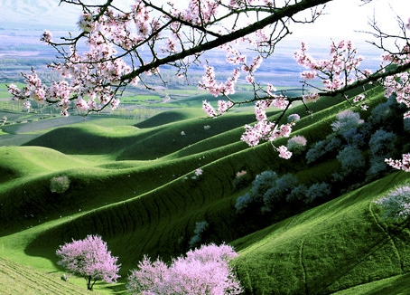 明明很开心却开心不起来