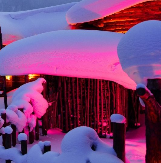 鱼翅的营养价值及功效