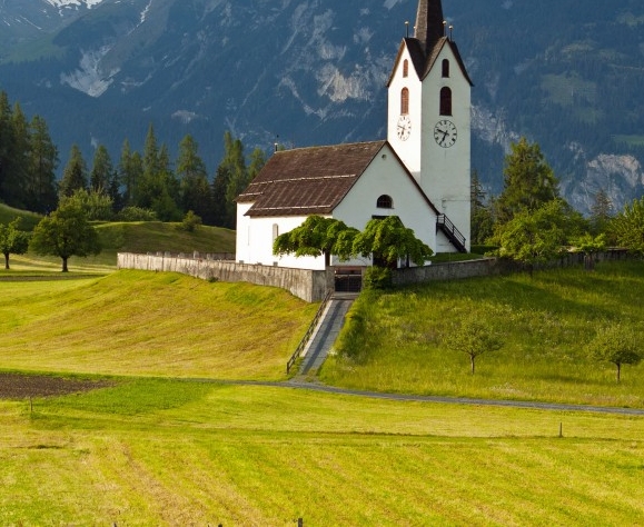 兔子的生活环境