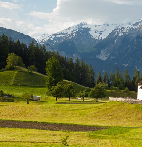 简单舒适的生活