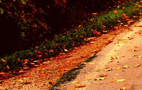 人生向左生活向右生活的句子