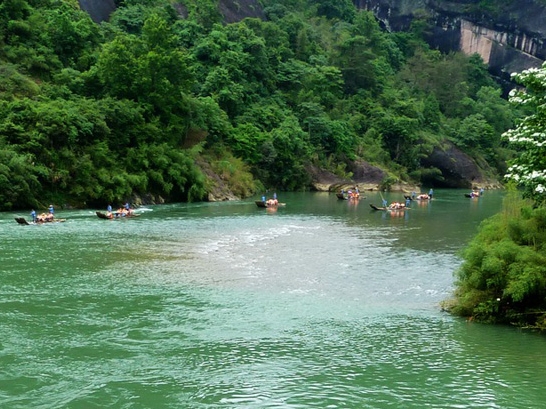 精辟人生感悟经典句子