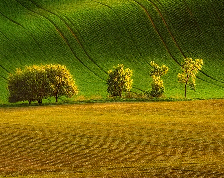 假如生活日弄了你