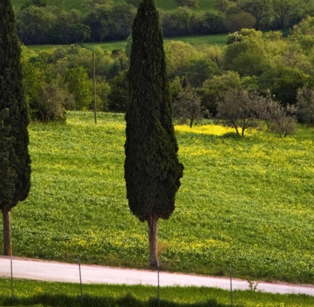 人生的十字路口向左还是向右