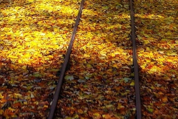 用生活治愈生活上热门