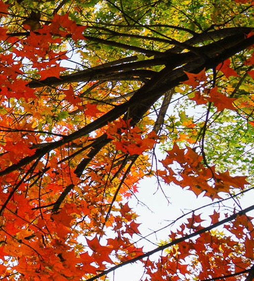 忙是治愈一切的良药