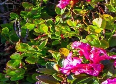 小蛀虫旅行记故事