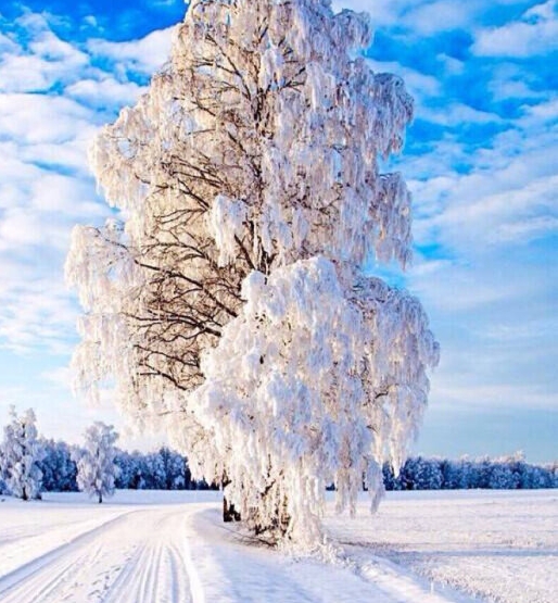 人生的十字路口哲理