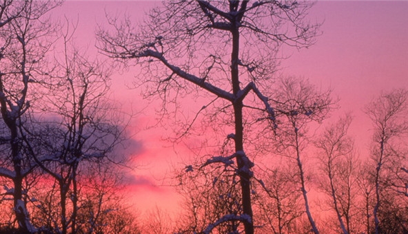 抠门生活生活技巧