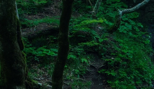 生活好累好压抑的句子