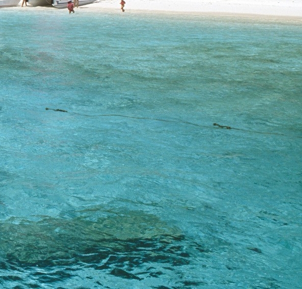 艺术源于生活高于生活是谁说的