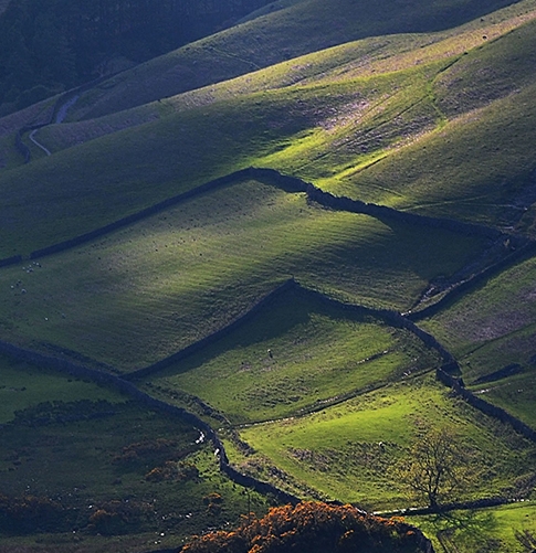 教资艺术源于生活高于生活