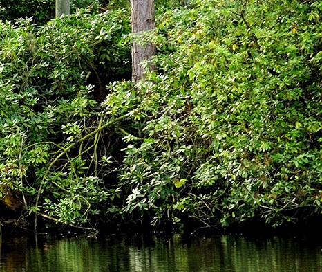 科学与生活是什么级别期刊