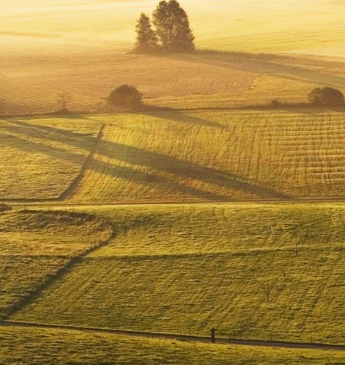 生活家家居装饰官网