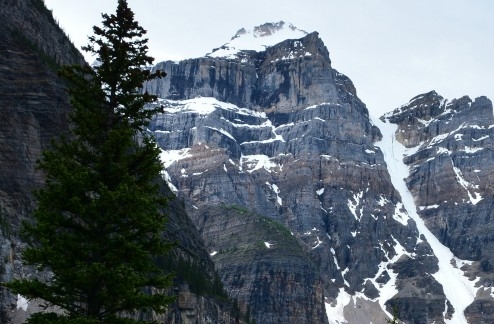 快乐生活的意思