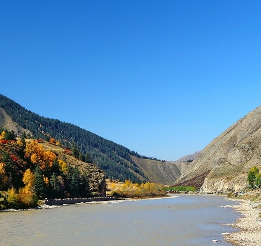 有钱叫大叔,没钱叫什么