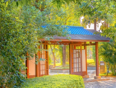 生活待我我待生活如初恋