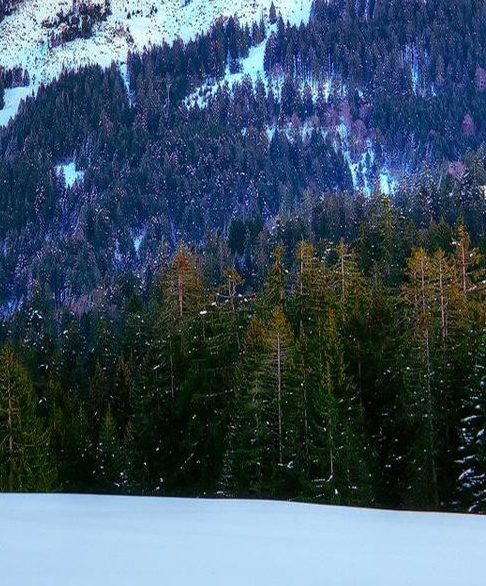 上海夜生活spa论坛