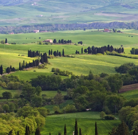 岛屿与陆地区别