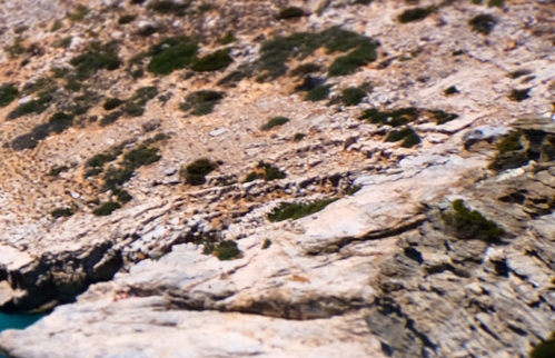 生态环境是人类生存和发展的根基