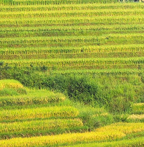 进口深海鱼油十大排名