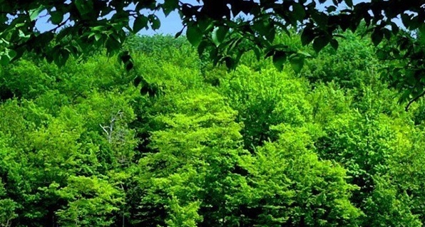 开心蛋卷全集视频