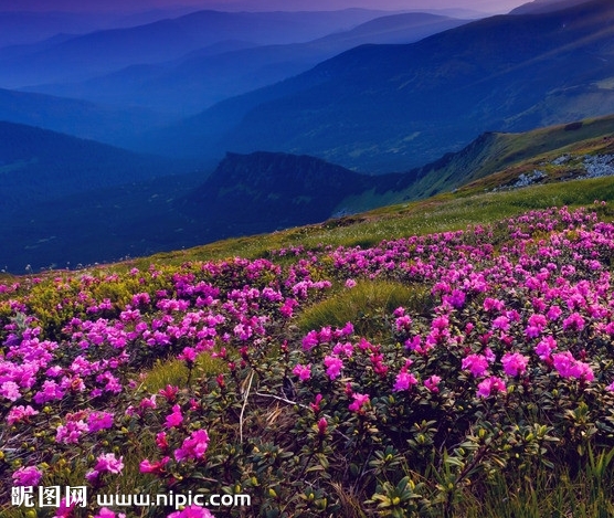 我待生活如初恋生活虐我千百遍下一句