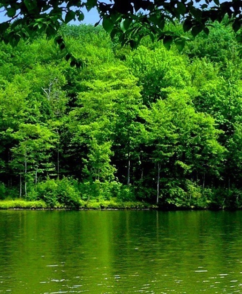 限时抢购和秒杀的区别