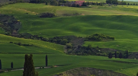 生活需要调味剂短句