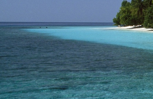 长沙夜总会哪个