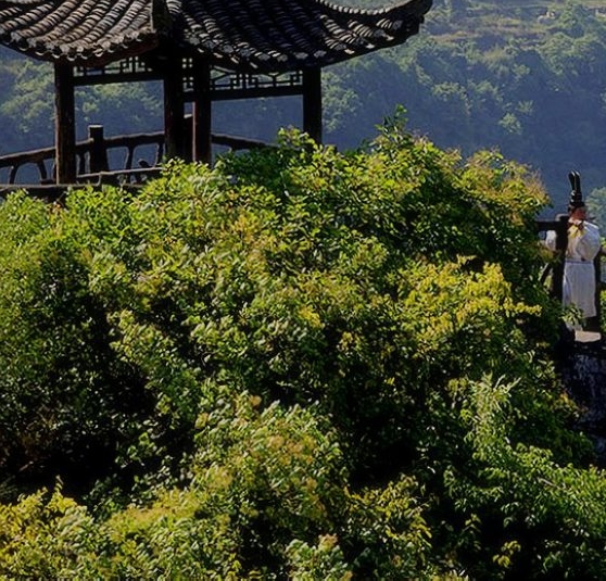 家庭生活照片图片