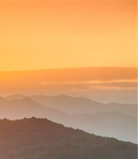 日常生活圆形物品