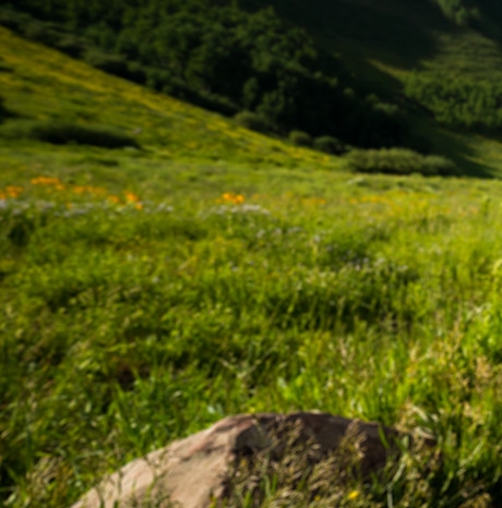 艺术源于生活高于生活