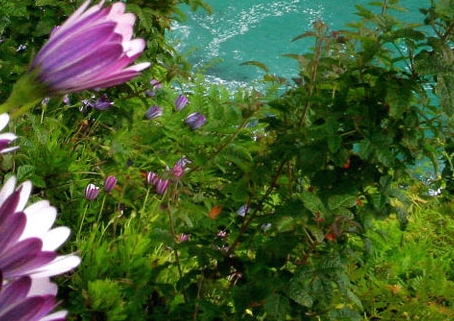 生活水箱清洗规范