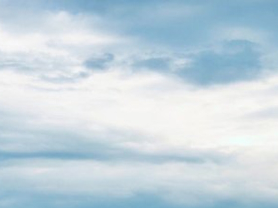 野生豪猪冬眠吗