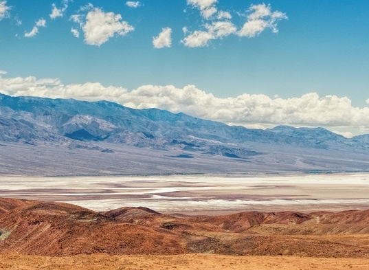 粉象生活怎么加入专栏会员