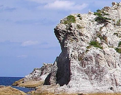 粉象怎么升级vip