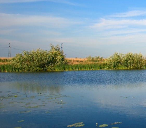 粉象生活app是个什么