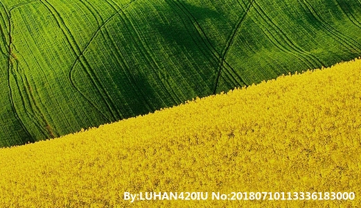 粉象生活官网首页