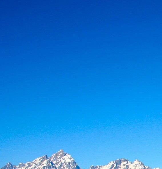粉象生活怎么推广平台