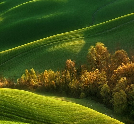 绿植活动背景素材